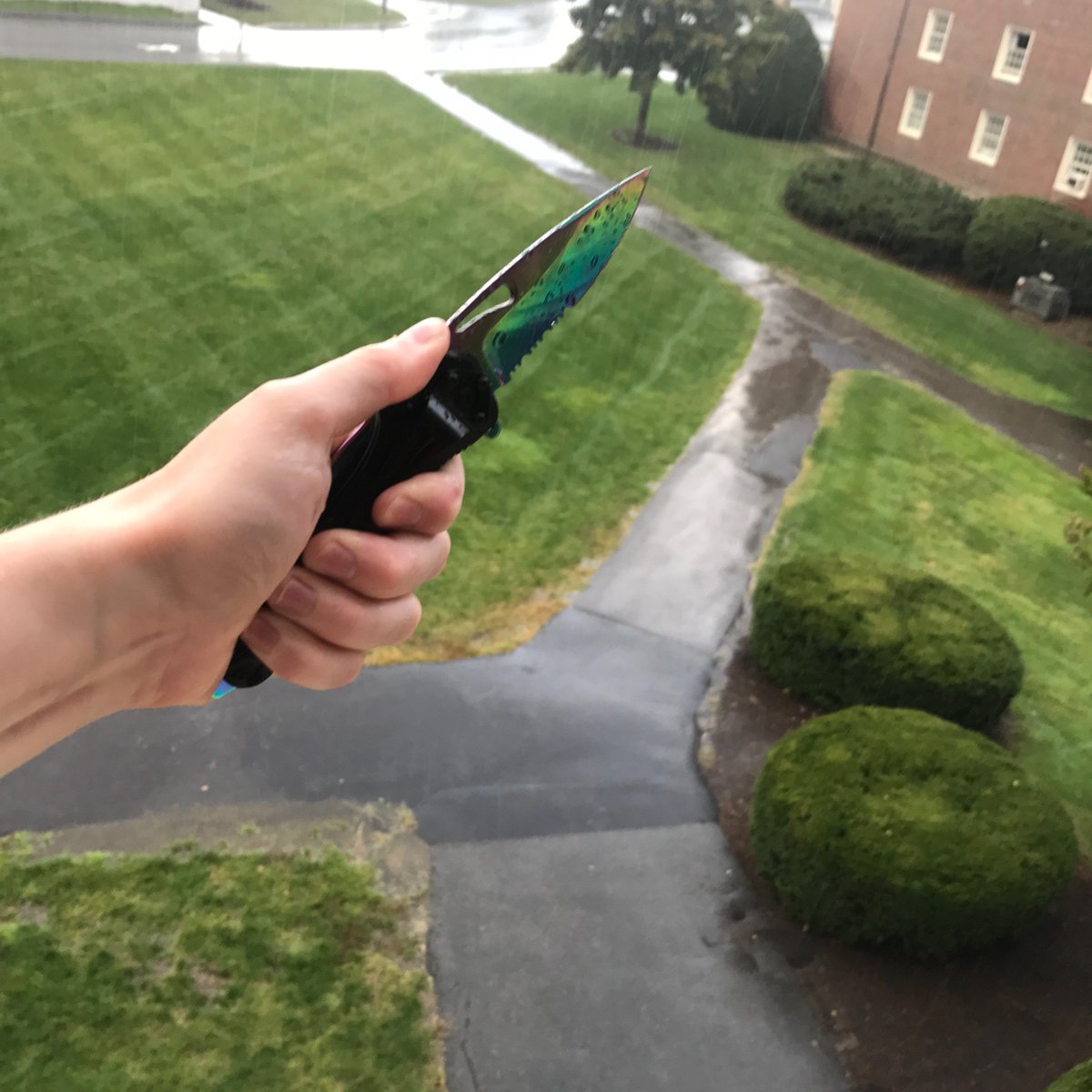 _jjm513's tweet photo. rainy days and rainbow blades 🌧 https://t.co/aMokaw8blz