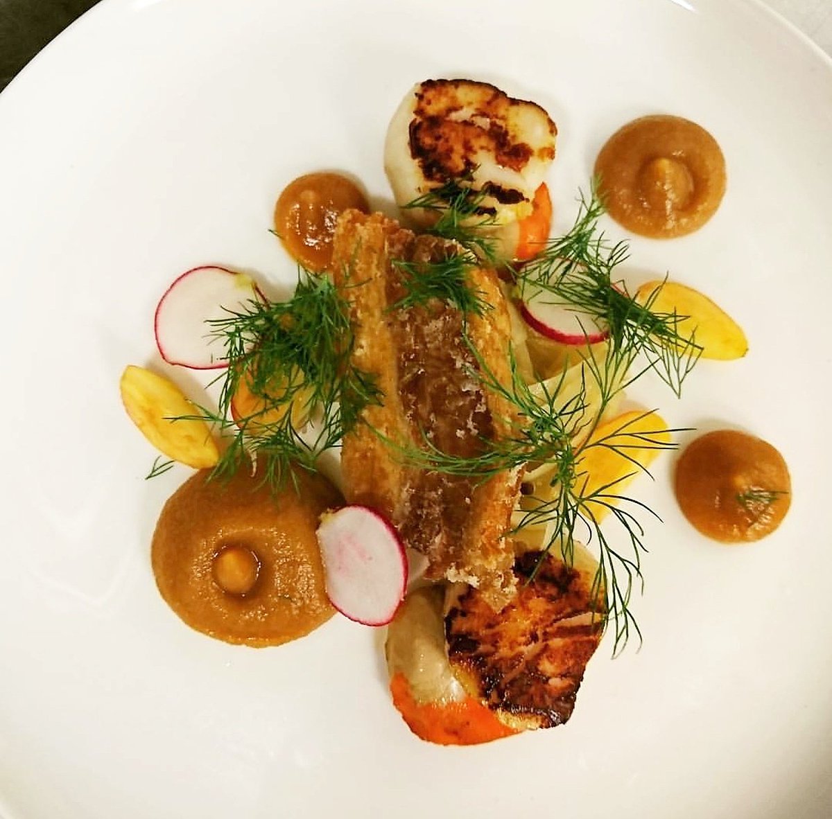 rumourtotnes's tweet photo. Scallops, pork belly, buttermilk, dill #rumourtotnes #chef #totnes #devon #scallops #chefs https://t.co/Hfq4xh68oi