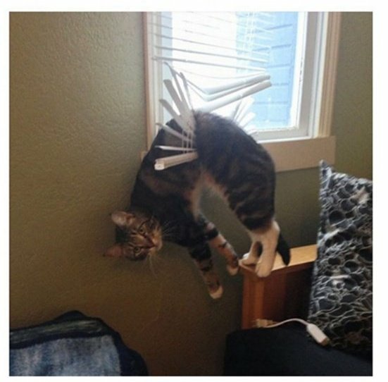 teachergoals's tweet image. When students don't listen to the directions, then they expect your help #teacherprobs