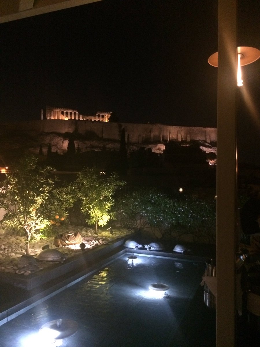 SophScientist's tweet photo. There are worse places to be at a conference/surprise party for your boss. If you need me I'll be in the acropolis with the dogs https://t.co/3qjK1YhQxS