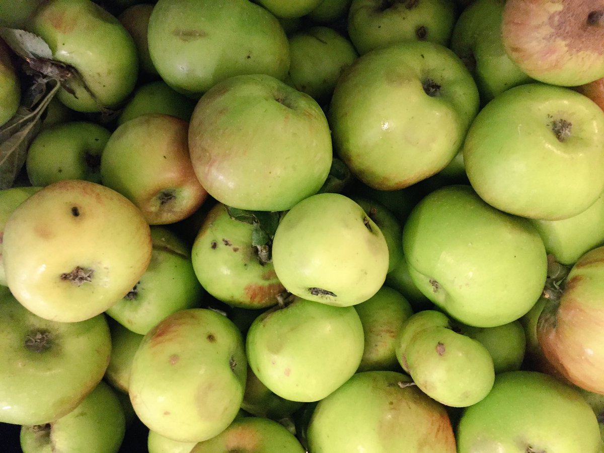 freshh415's tweet photo. Also a big thank you too @WHarvesters @k2kfruitharvest for their wonderful #Apples for #Harlesden #Foodbank https://t.co/BeHcvkZH5X