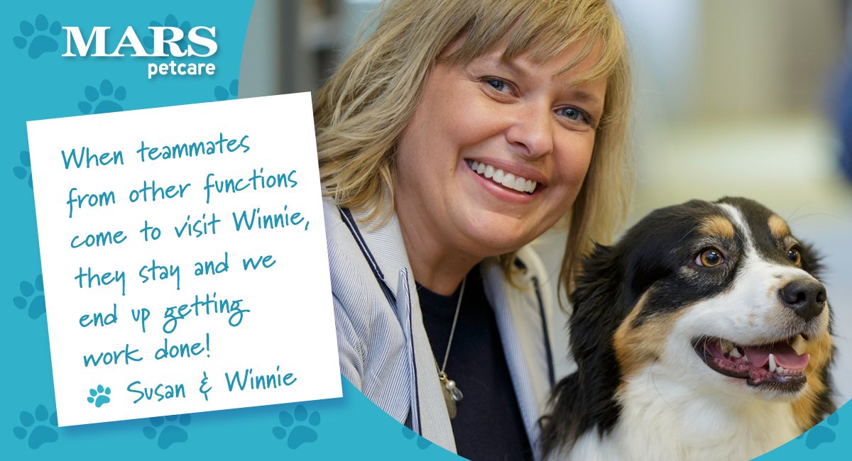 MarsPetcareUS's tweet photo. Why do #PetsWorkAtWork? Our Associate Susan loves that her dog Winnie brings people together for work and play. #PawsitivelyMars https://t.co/gTmzfODv0I