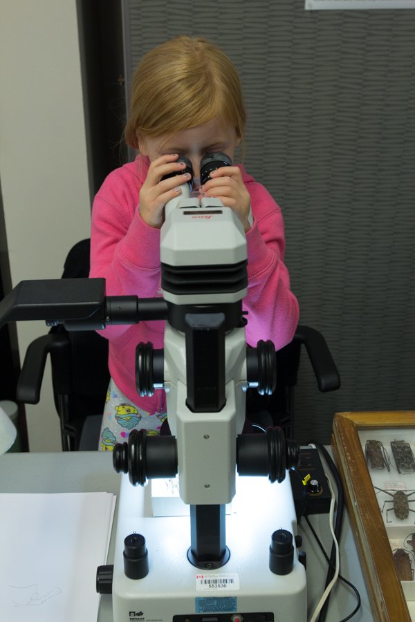 AAC_Canada's tweet image. 1/2 Merci aux quelque 3000 personnes qui sont venues a @BugDayOttawa au CRD Ottawa!