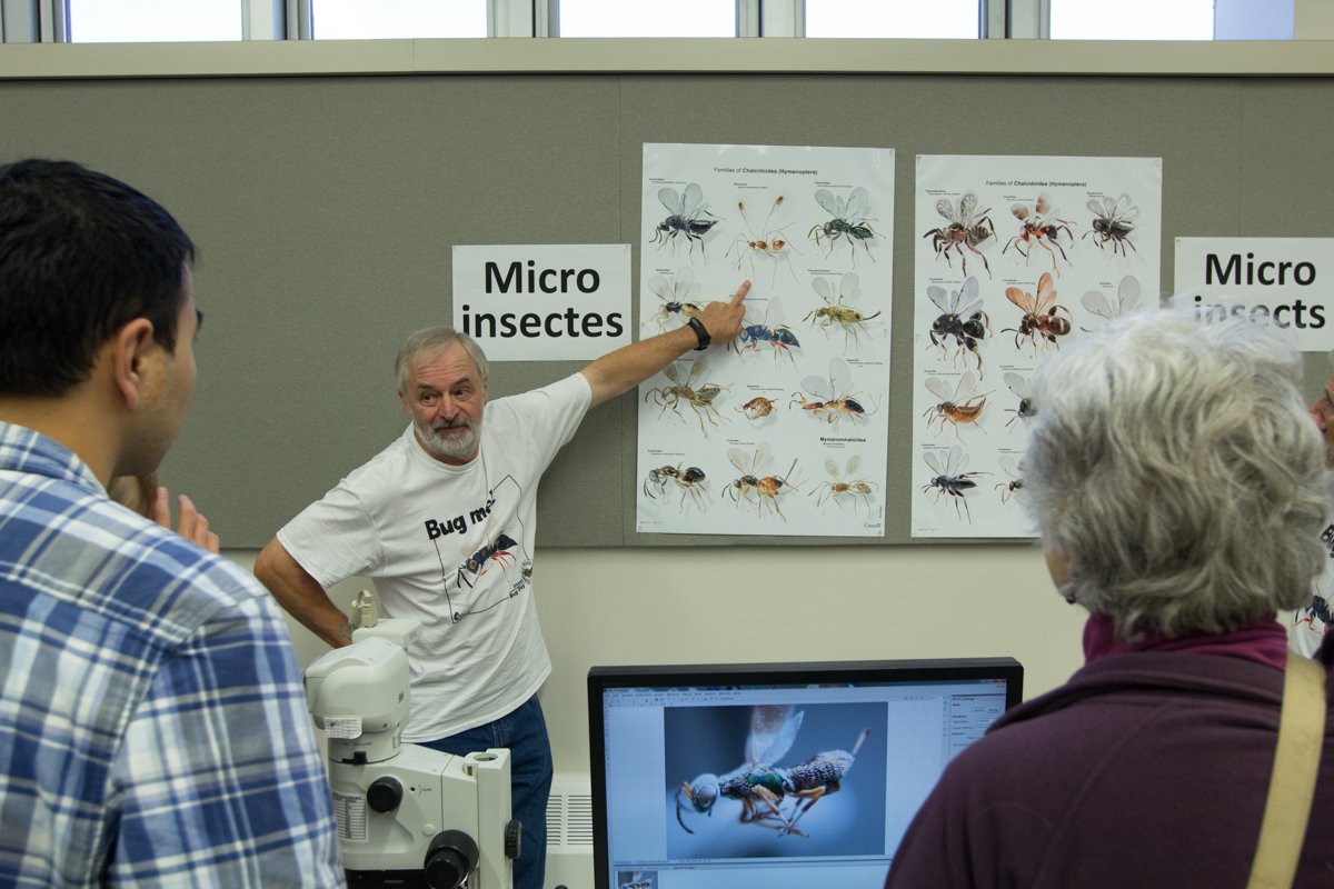 AAC_Canada's tweet image. 1/2 Merci aux quelque 3000 personnes qui sont venues a @BugDayOttawa au CRD Ottawa!