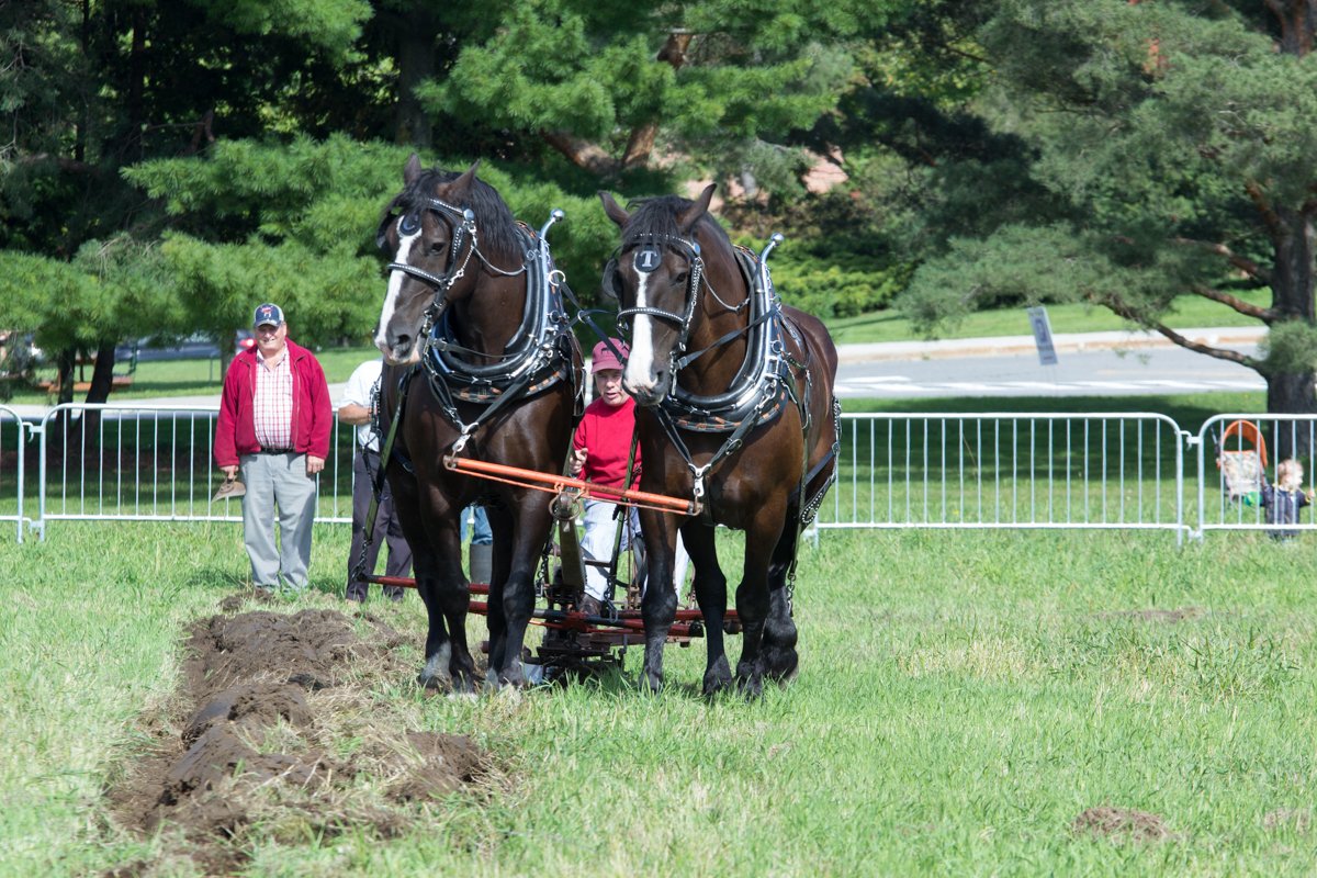 AAC_Canada's tweet image. 1/2 Merci aux quelque 3000 personnes qui sont venues a @BugDayOttawa au CRD Ottawa!