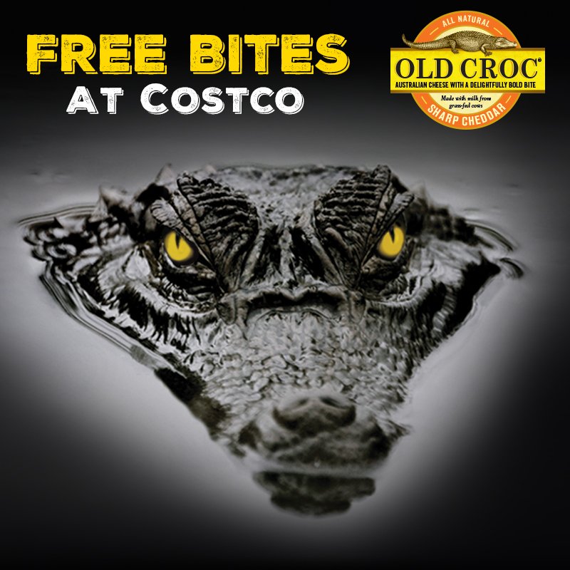 old croc cheese costco