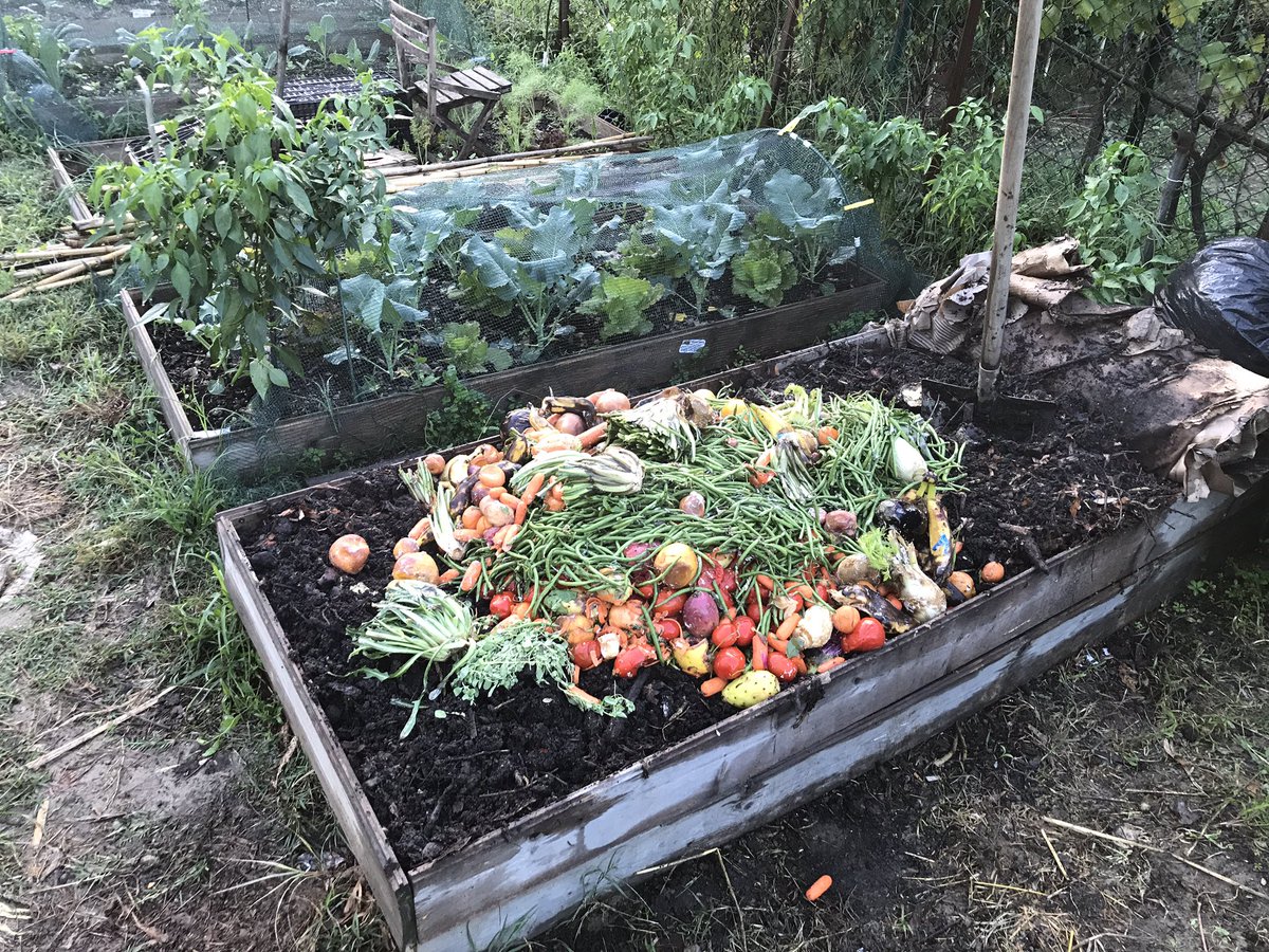 ortisandonato's tweet photo. Facendo il Compost #ortisandinato making #compost #blacksoldierfly #Hermetia illucens #allotment https://t.co/pa8t3JmqKI