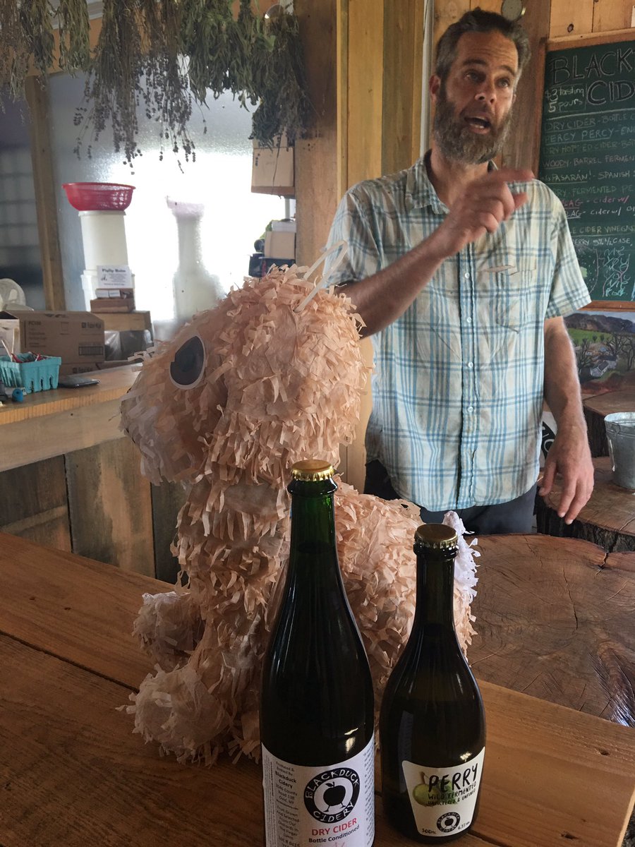 At Black Duck Cidery in Ovid with John (and the piñata dog for his daughter Idunn's birthday party)... and of course CIDER