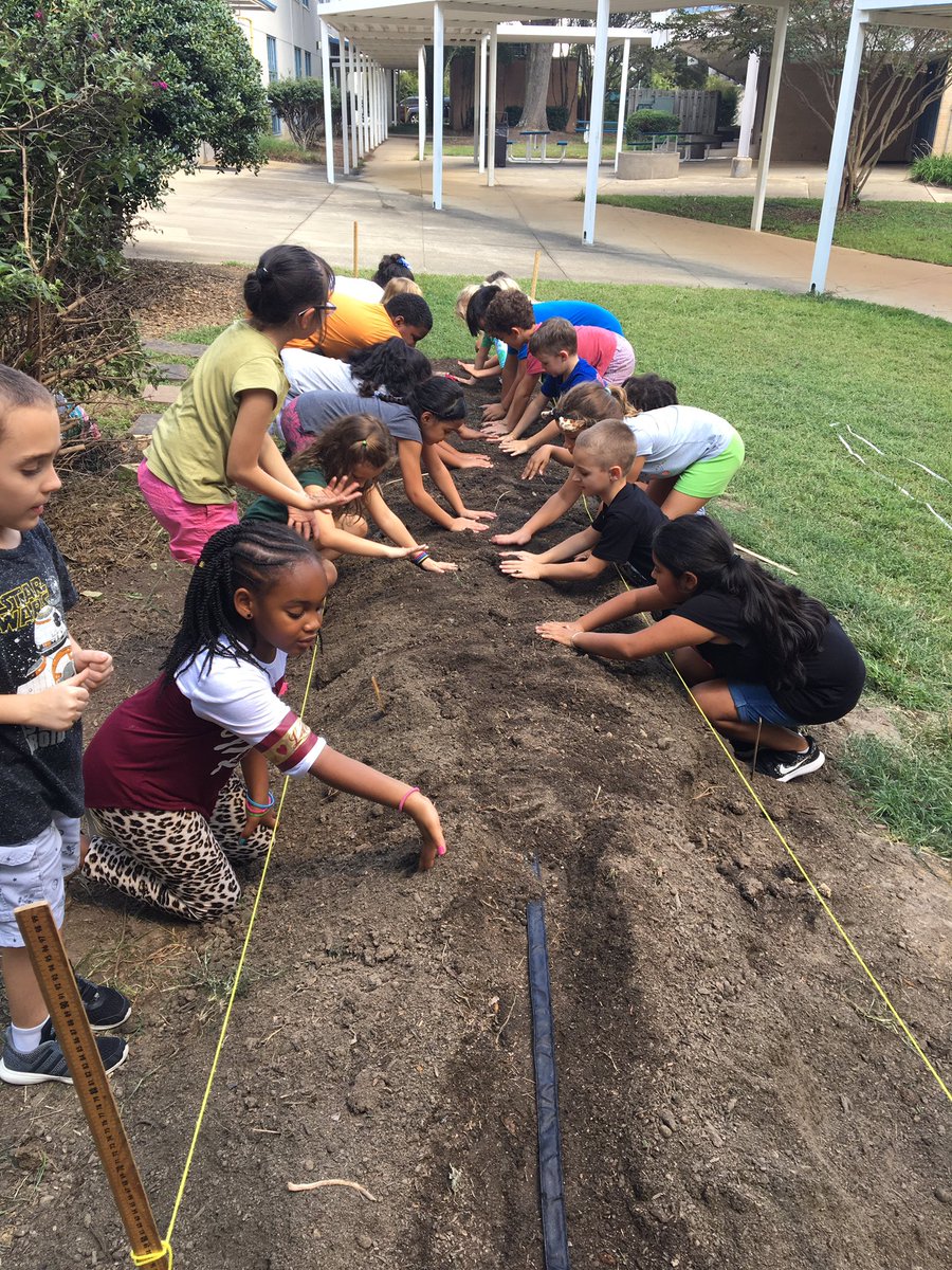 JulsMarie07's tweet photo. Started our grade level strawberry garden today! #dynamiclearningexperience #otherpeoplematter @SCESROARS @SedaghatMegan https://t.co/rz4alc0OB6