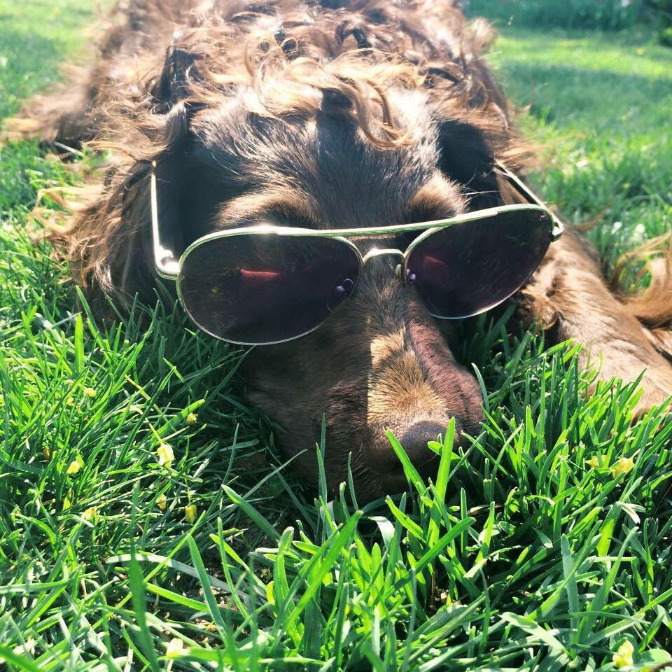 coleen_hook's tweet photo. @bretteldredge Have I got a girl for him! https://t.co/0jZ1Zb7H71