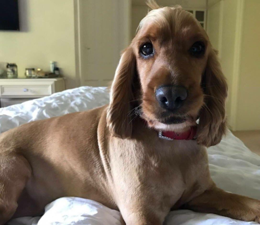 Lostbox - South East tweet media