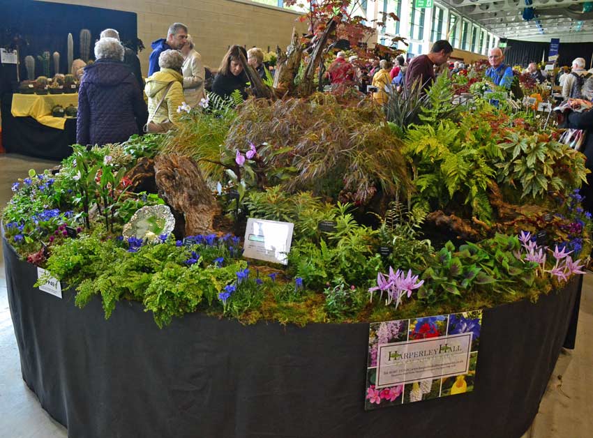 Congrats @HarperleyGrow on Premier Gold at #HarrogateFlowerShow! @HarrogateFlower @HarperleyHallFa wp.me/p7lkTV-1sK