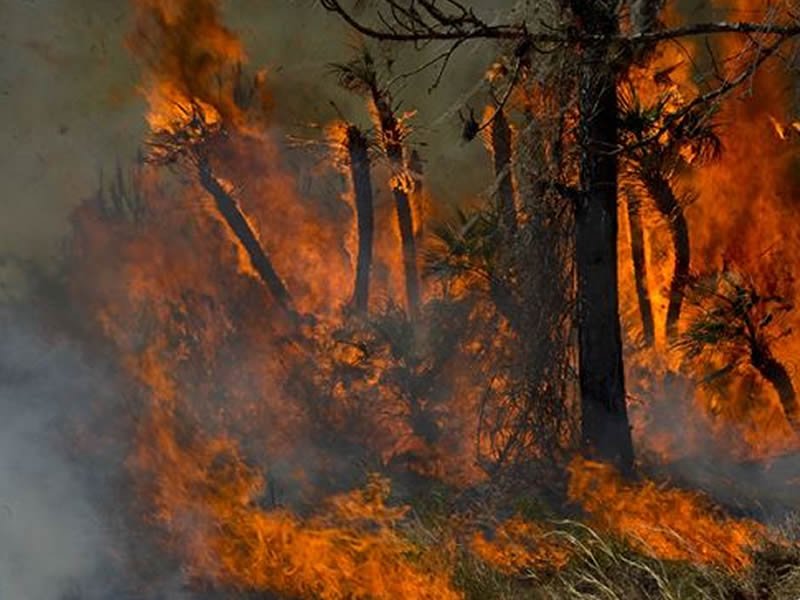 Wildfires Contained, Healthy Residents Heading Home dlvr.it/PnGrHx https://t.co/WfAeoallpB