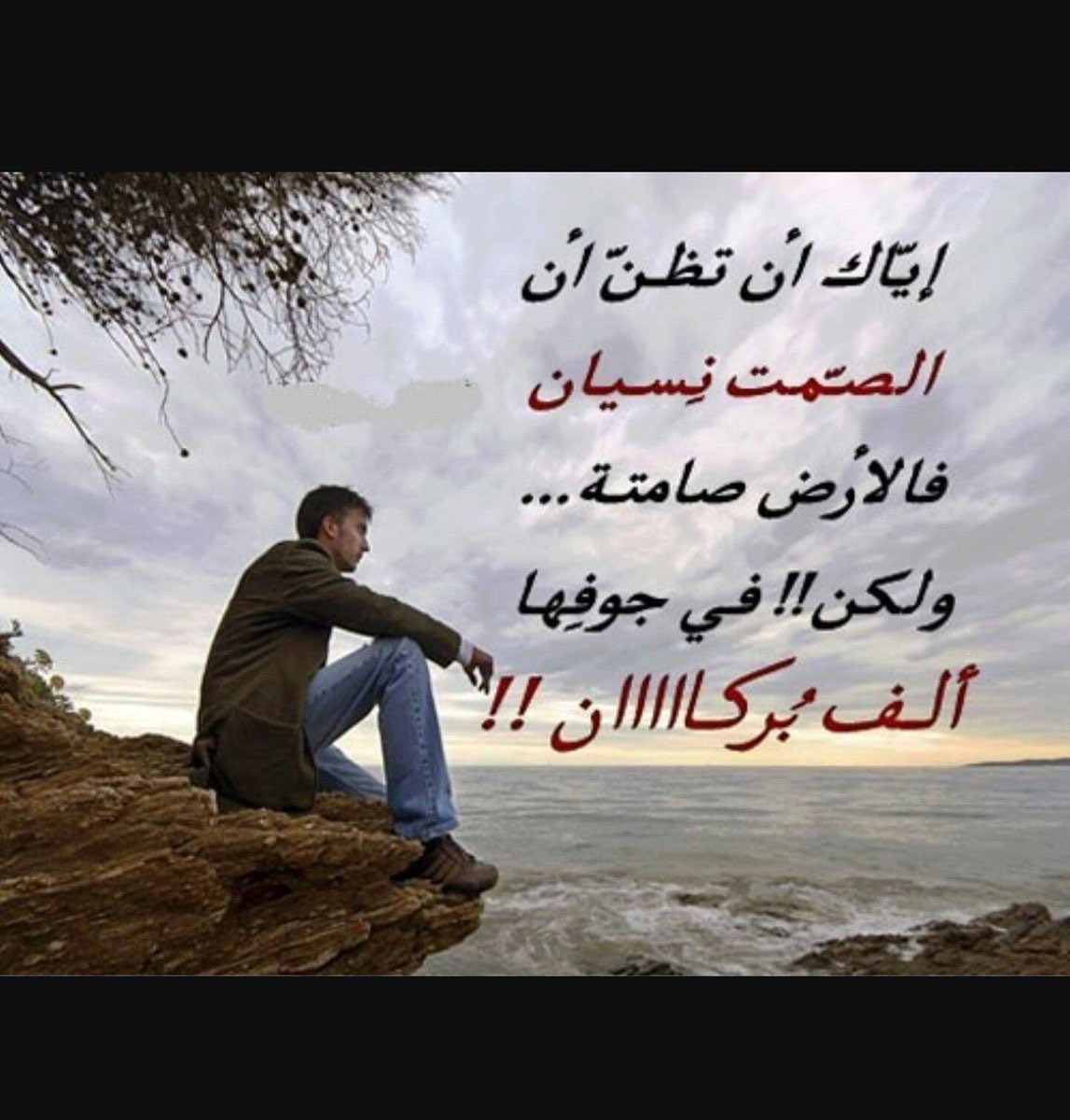 كلمات أعجبتني ❤️