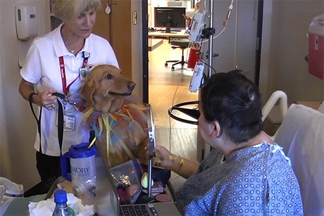 EmoryMedicine's tweet photo. Happy Tails therapy dogs bring comfort and joy to @SaintJosephsATL patients. VIDEO: https://t.co/6AKCfb77OZ #therapydogs #Emory https://t.co/0qAuNxwJgx