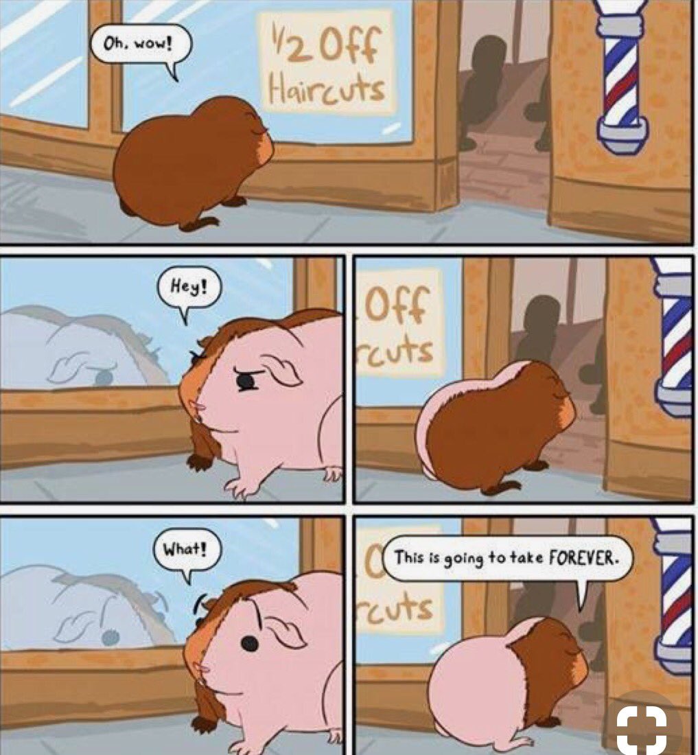 MathEssentials1's tweet image. For “No-More-Tears-Math”go here:
mathessentials.net
and here:
americasmathteacher.com

THE EASY way to learn!