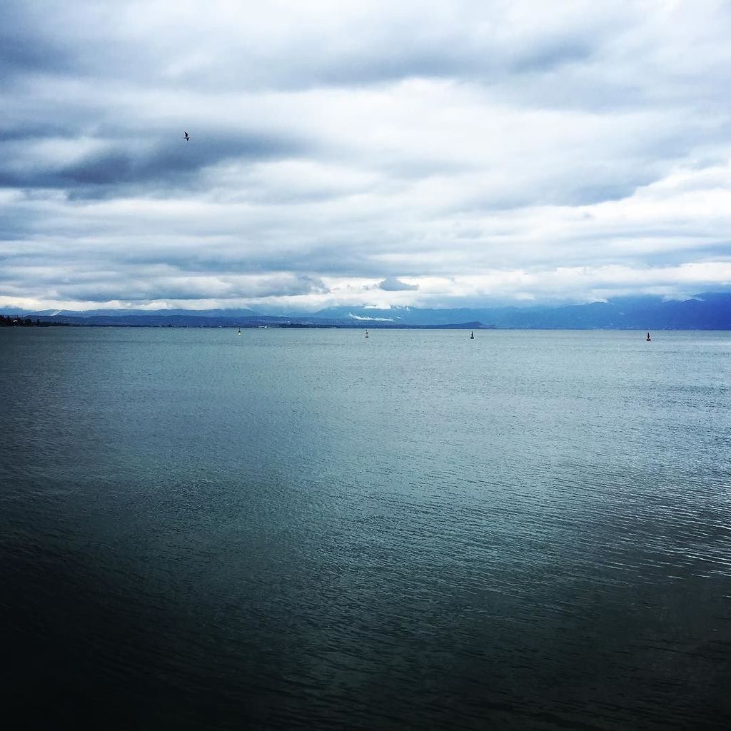 gianlucatravel's tweet photo. #lakegarda #lagodigarda #bluesky #follow4follow #visitig #travelblogger #picoftheday #peschieradelgarda #followfor… https://t.co/y7HGWMiqwS https://t.co/mYXZyzCoP3
