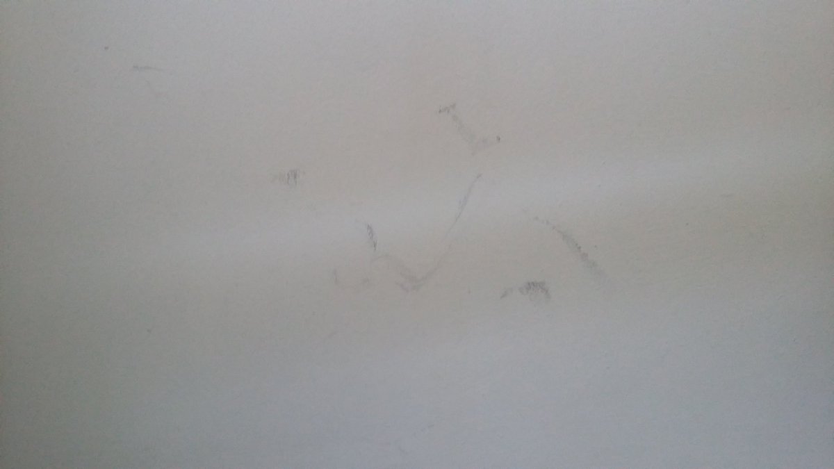 Eve Bazaiba tweet media