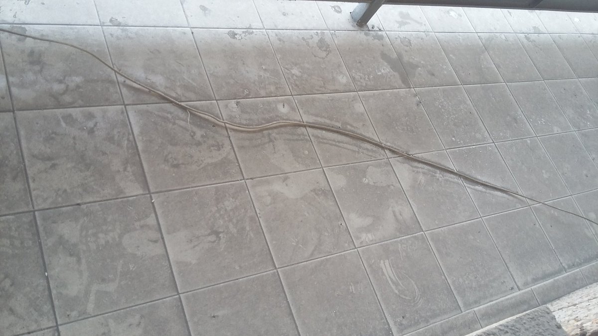 Eve Bazaiba tweet media