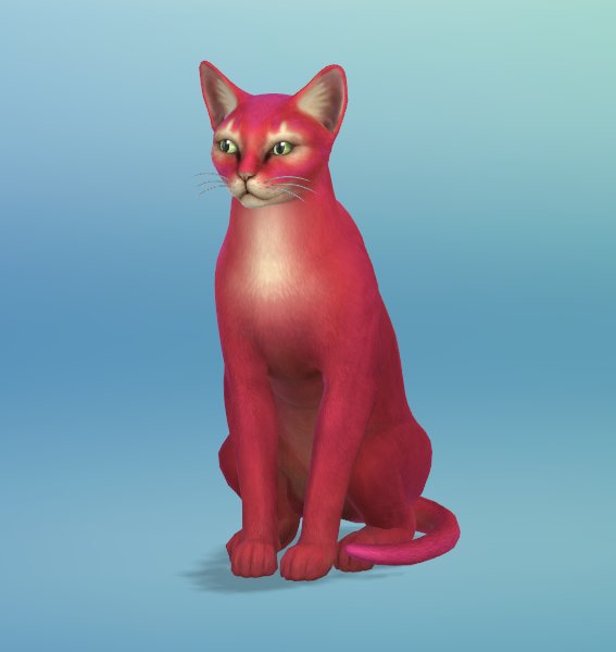 Les Sims 4 Chiens Et Chats Sortira En Novembre Page 75