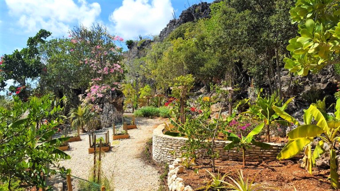 LeSoleildOr's tweet photo. Like wildflowers, you must allow yourself to grow in all the places people never thought you would - E.V 📸: @backpackovalija https://t.co/JQCYuwGvgR