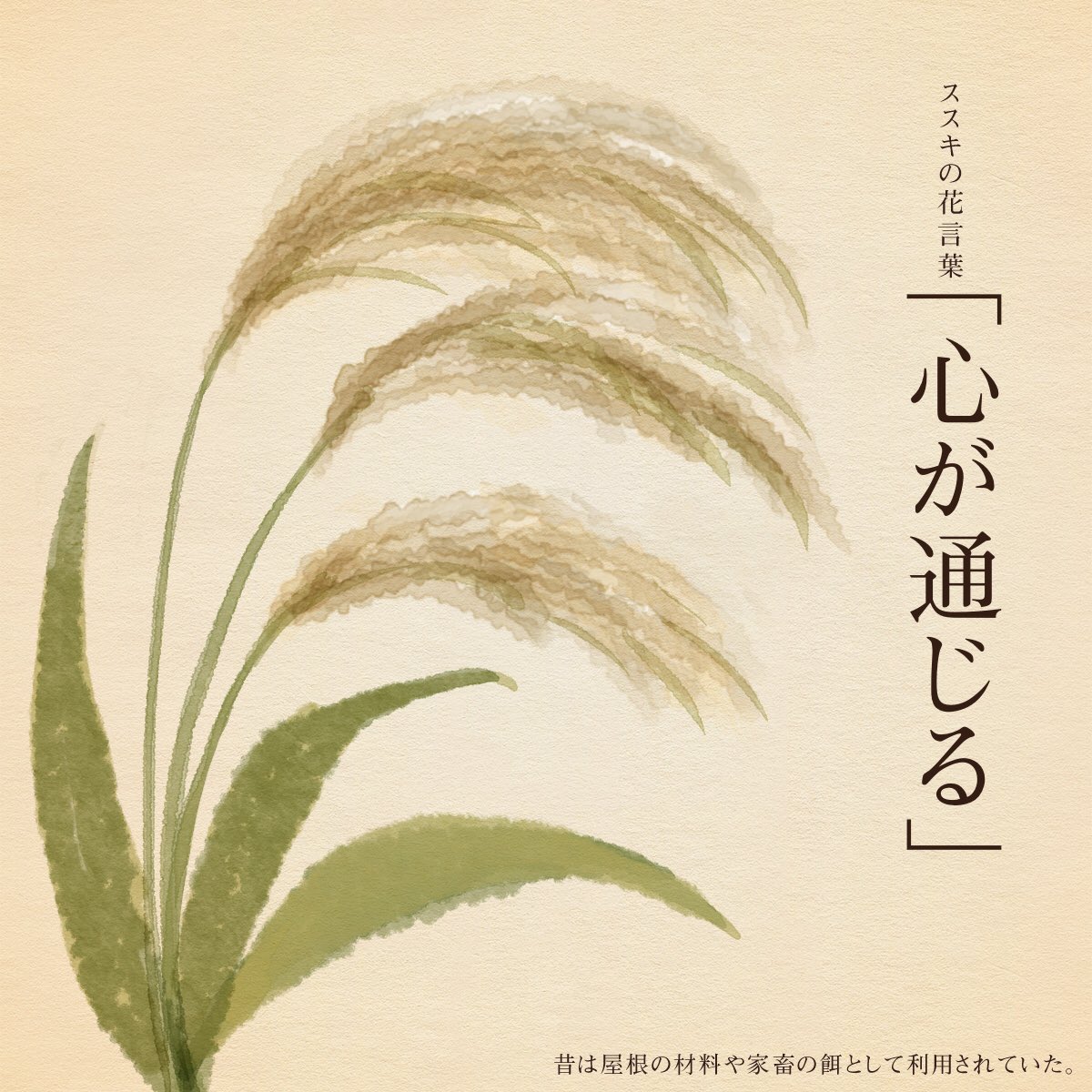 はな言葉 葉菜桜花子 新作ドレスできました きょう9月16日は ハイビジョンの日 競馬の日 マッチの日 日本中央競馬会発足記念日 オゾン層保護のための国際デー 誕生花はススキ 花言葉は 心が通じる T Co 6q7dx5yxmv Twitter