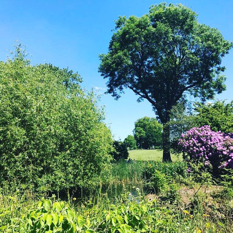 PathakYoga's tweet photo. #beautiful #brockwellpark #autumn #beautifulday #nature #pathakyoga #mindfulness #yogainspiration #lovelife #positiveenergy #meditation https://t.co/vxpnaredmG