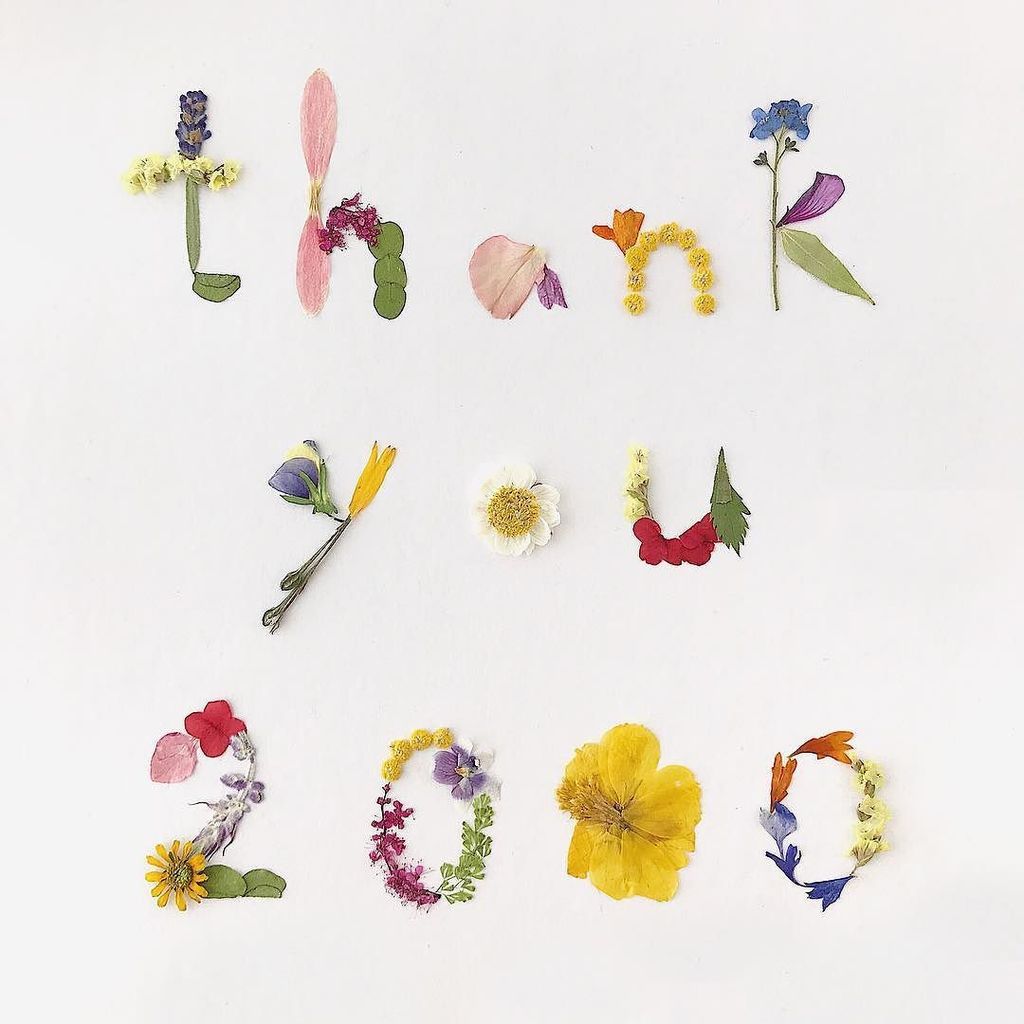 Fufu 記念すべき00フォローの Thank You 押し花テキスト Nilufer Tea 様よりご依頼いただき制作しました おめでとうございます 画像の無断転載 転用はお控えください フラワーテキスト 花文字 00followers 00フ T Co