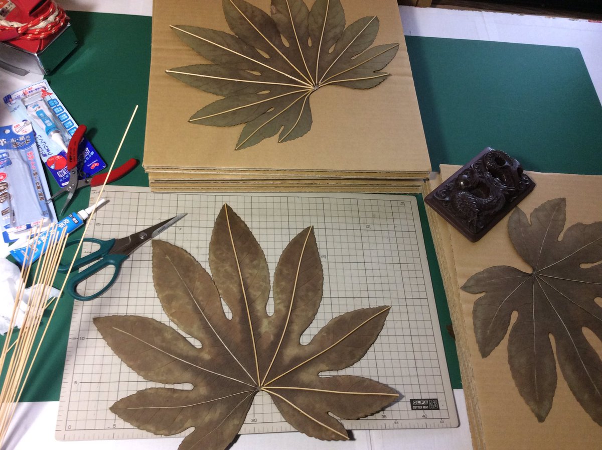 あわじ工房 グーグル先生も教えてくれないヤツデを使った天狗のの団扇の作り方 乾燥させたヤツデの葉脈に合わせて竹ヒゴ張り ゴムスプレーで着色と補強 作っておいた持ち柄と接着させて完成 持ち柄は杉材 飾り紐は正絹組紐です あわじ工房 グーグル先生も教えてくれないヤツデを使った天狗のの団扇の作り方 乾燥させたヤツデの葉脈に合わせて竹ヒゴ張り ゴムスプレーで着色と補強 作っておいた持ち柄と接着させて完成 持ち柄は杉材 飾り紐は正絹組紐です