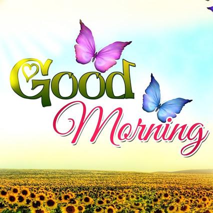 kanchu_insan's tweet photo. Gud mrng paa @Gurmeetramrahim Thnx a lot Dad for gvng me such a beautiful day...plz bless all for meditation nd good health🙇🙇 https://t.co/tTP4luzMFi