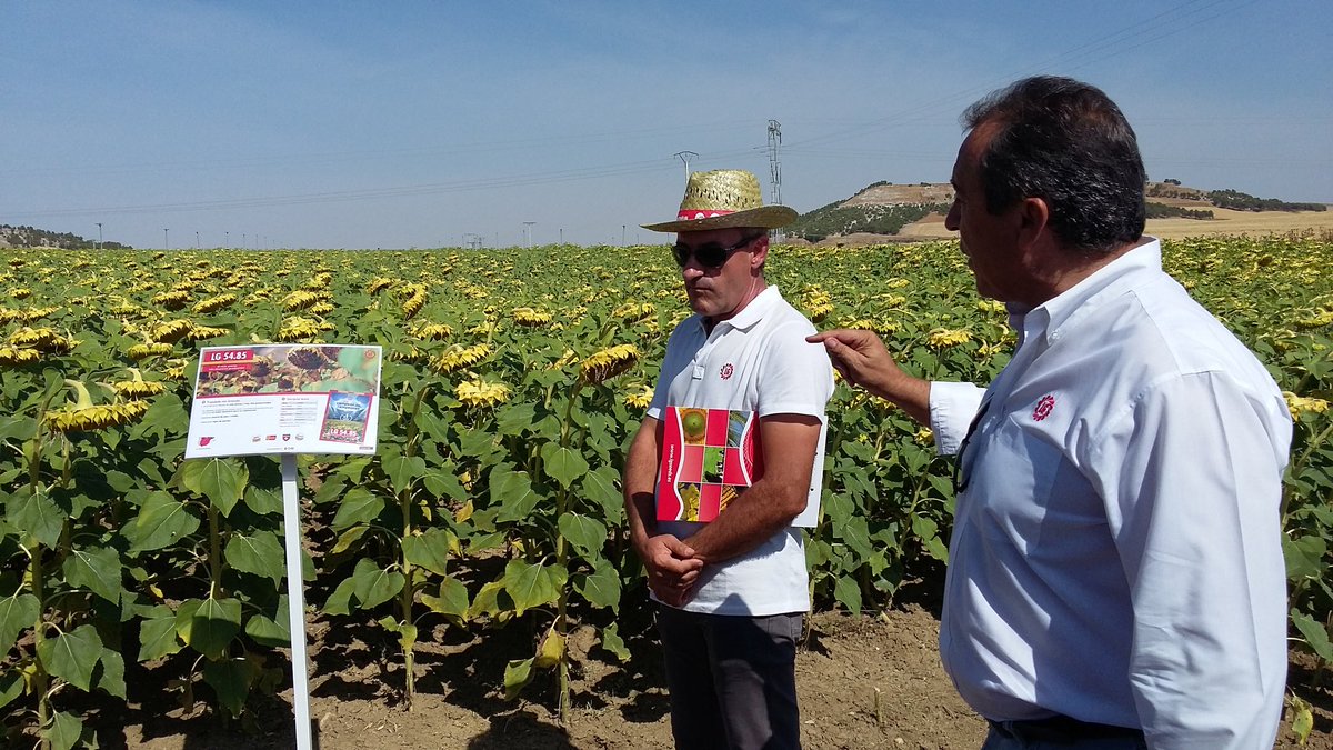 GrupoHenar's tweet photo. La actividad productiva de semillas @LGSeedsES en España se ha visto fuertemente incrementada en los últimos años https://t.co/UkpPJI11FQ https://t.co/fGWImLlL4j