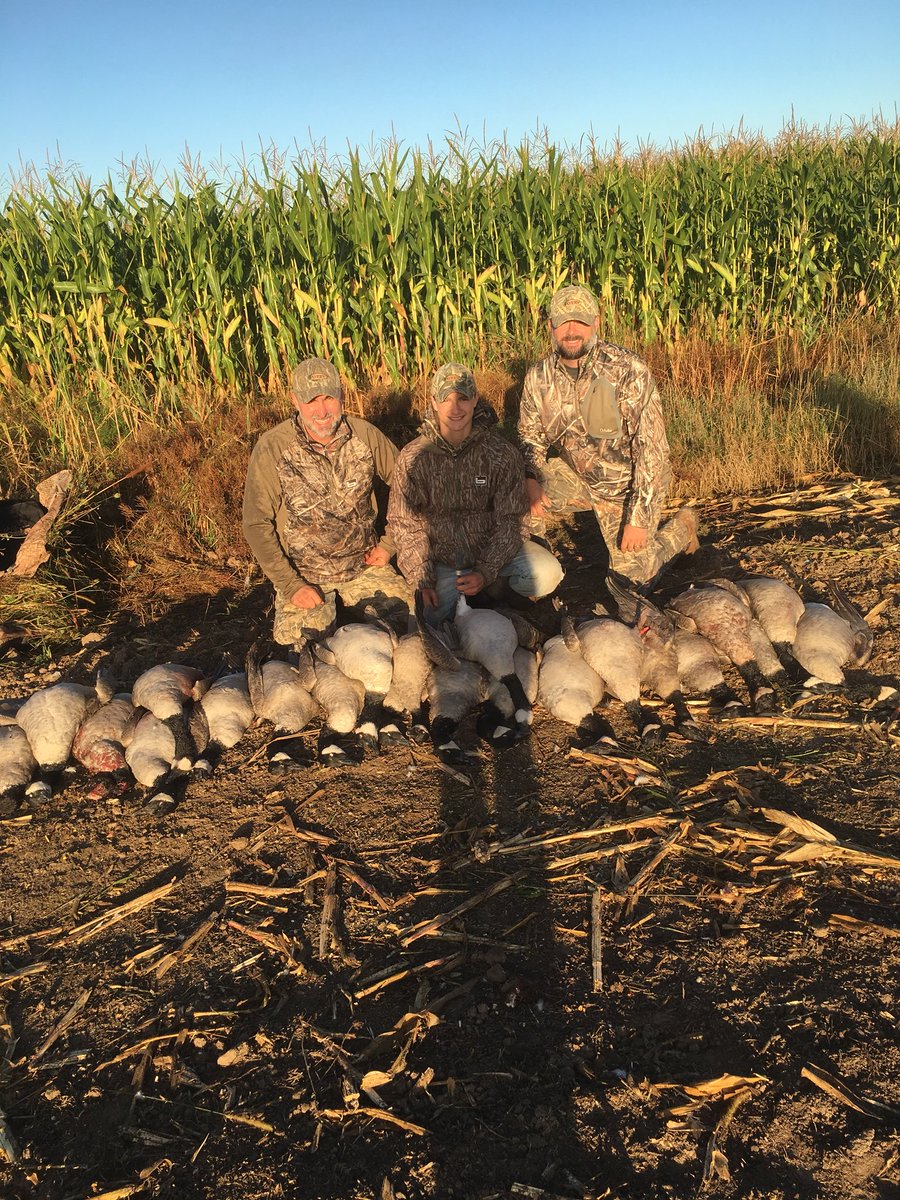 outdoorkid21's tweet photo. Had a good day with an 11 man limit #averyghg #bandedbrands #ghgdecoys #firstinfinishing https://t.co/Lg0wn7FQPZ