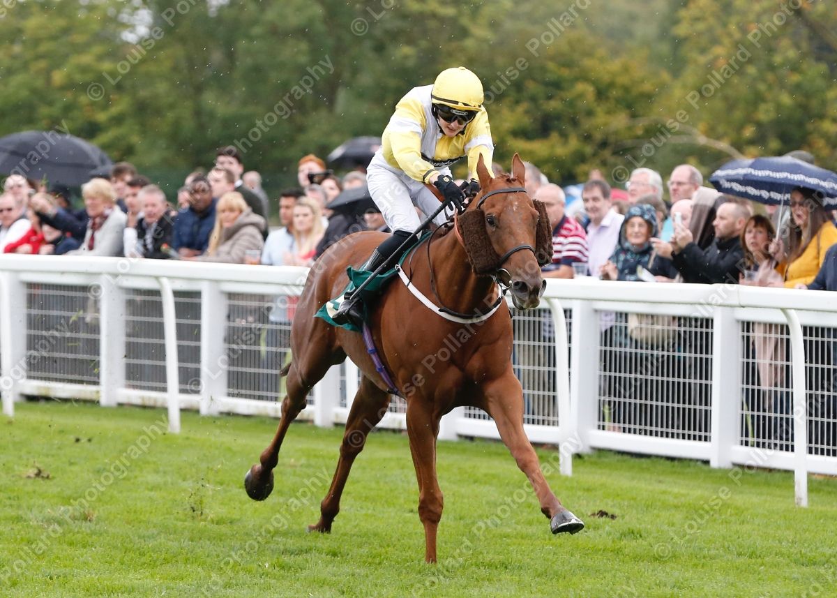 Louise Pollard tweet media