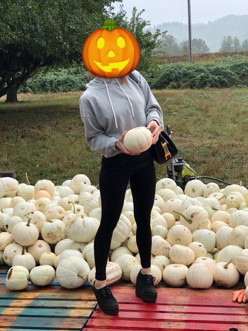 These pumpkins make my quads look good. https://t.co/haY2o80KpM