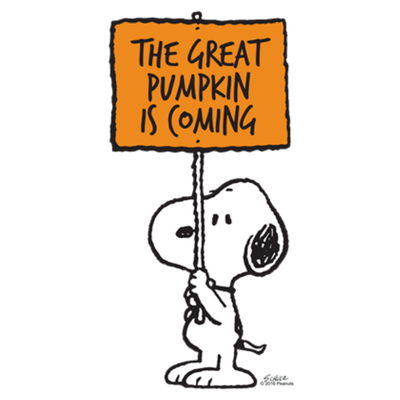 cafepress's tweet photo. #MakePumpkinsGreatAgain #Peanuts #TheGreatPumpkin #CharlieBrown https://t.co/GgQ0tlwM8V