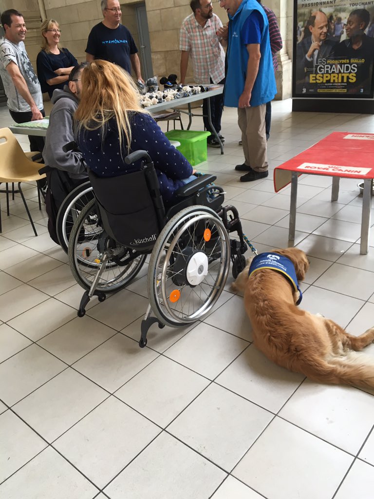 Marie-Pierre F tweet media