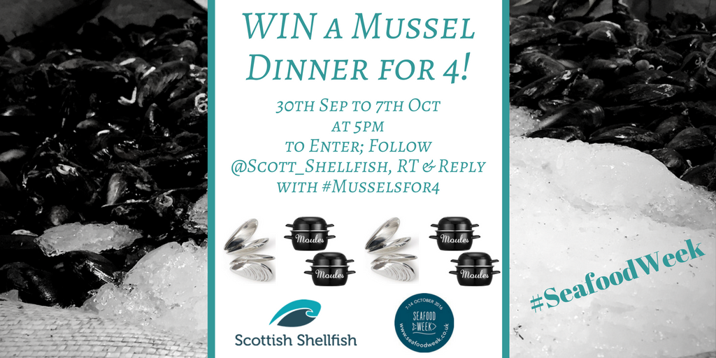scott_shellfish's tweet image. WIN 4x #MusselEaters, 4x #MusselPots &amp;amp; 4kg of #Mussels #SeafoodWeek 
Follow, RT &amp;amp; Reply with #MusselsFor4
Full T&amp;amp;C: twitdoc.com/908G