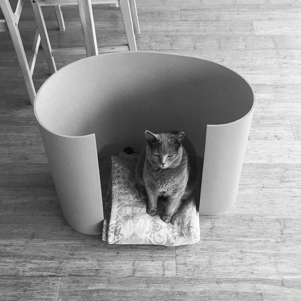 komalibxl's tweet photo. Yoga mat / cat house #chartreux #catsofbrussels #cosytimes #apartmentliving 🐈🏢 https://t.co/65H2kkPfdO https://t.co/o9xg9ecJnR