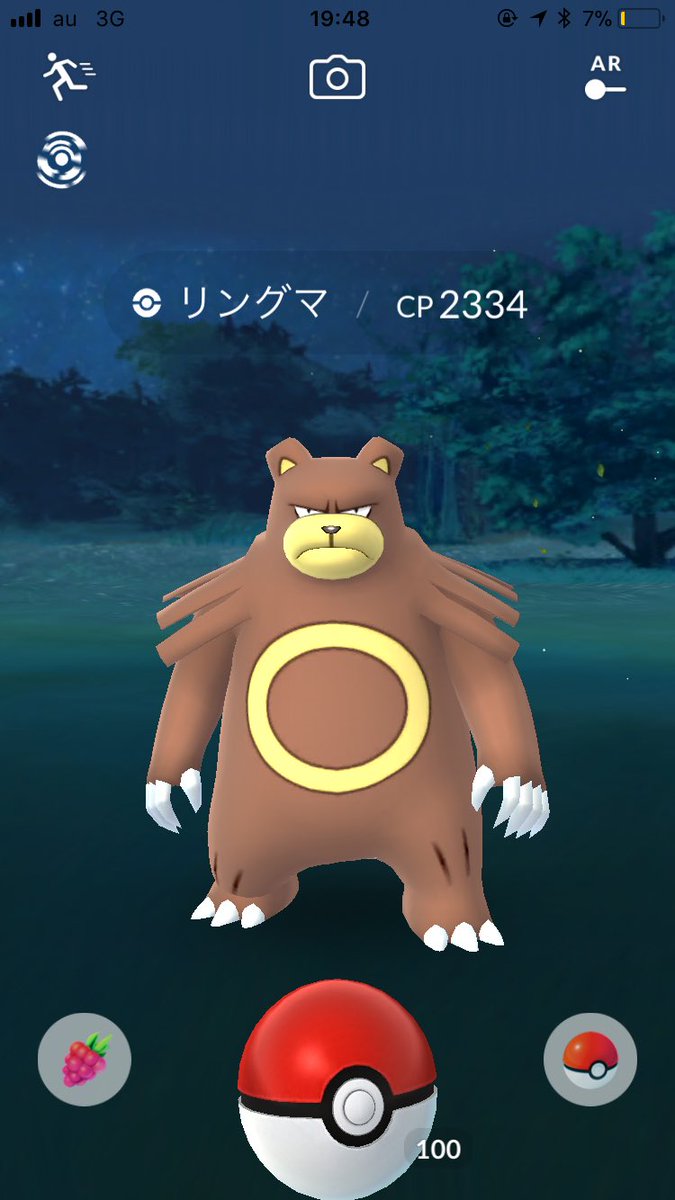 ドーナツ 野生リングマ割と強い ポケモンgo