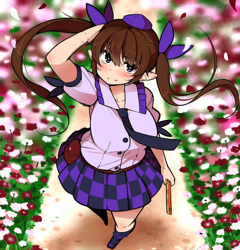 はたてコスモス秋の風 