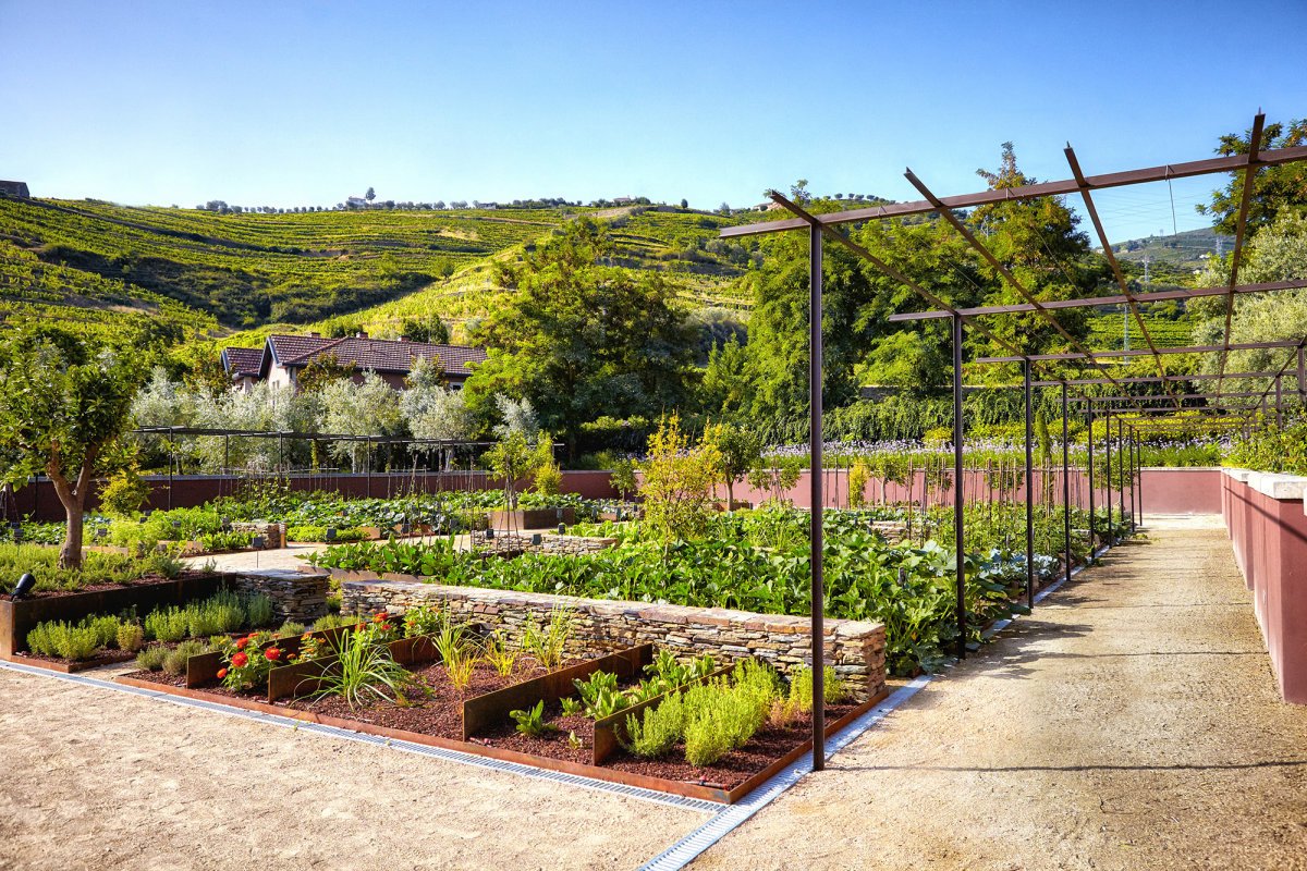 USNewsTravel's tweet photo. 10 top hotels in Europe for food and wine lovers (you're welcome): https://t.co/wzytcLbqLA https://t.co/IERAZrWbrs