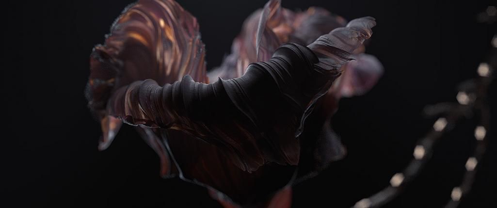 An #Experimental #Animation of Blooming Flowers [Video] buff.ly/2x4m94H on <a href="/Colossal/">Colossal Biosciences®</a> via <a href="/NikkiElizDemere/">Eithiriel DeMeré 🏴🥀🏳️‍🌈</a>