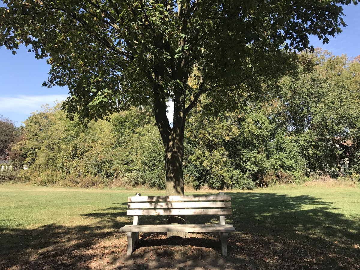 ScheepstraTraci's tweet photo. DAY 68 (Yr2)  #theLOVEproject365 There are times when all we need to do is just be. Full #blog @ https://t.co/2fqN3OsepM https://t.co/2zF1iYKh2K
