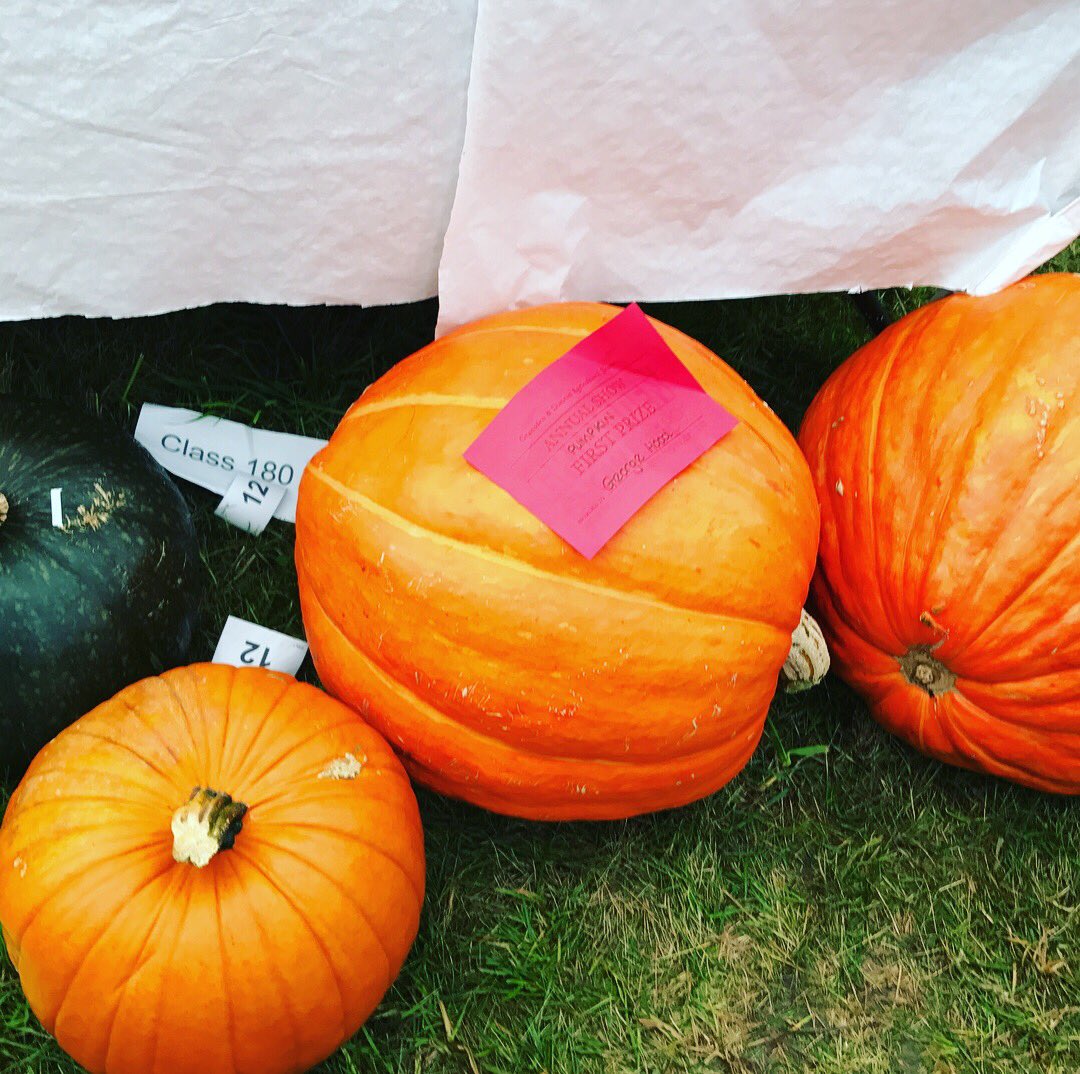 Gransden Show tweet media