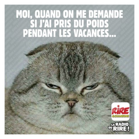 NosukynMDT tweet media