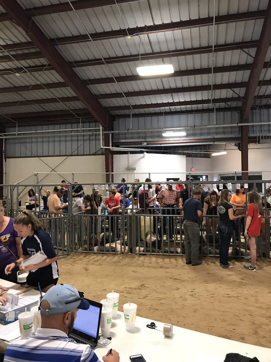 TomballFFA's tweet photo. The animal selection has started!!! https://t.co/5qNujNl60D