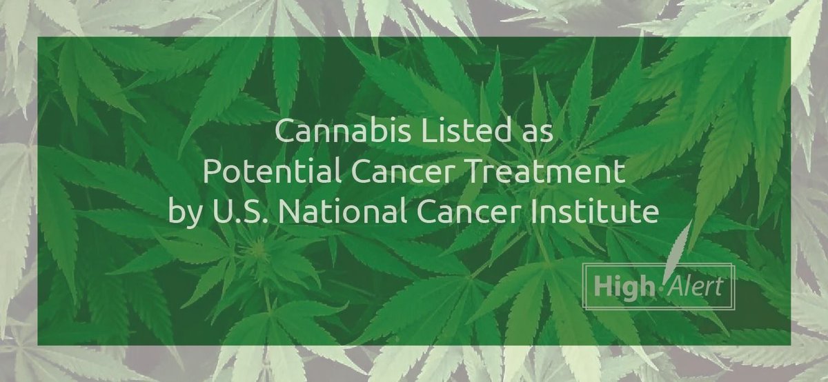 FieldsOfGreenFA's tweet image. Cannabis Listed as Potential Cancer Treatment by U.S. National Cancer Institute - HighAlert j.mp/2vJq7PI