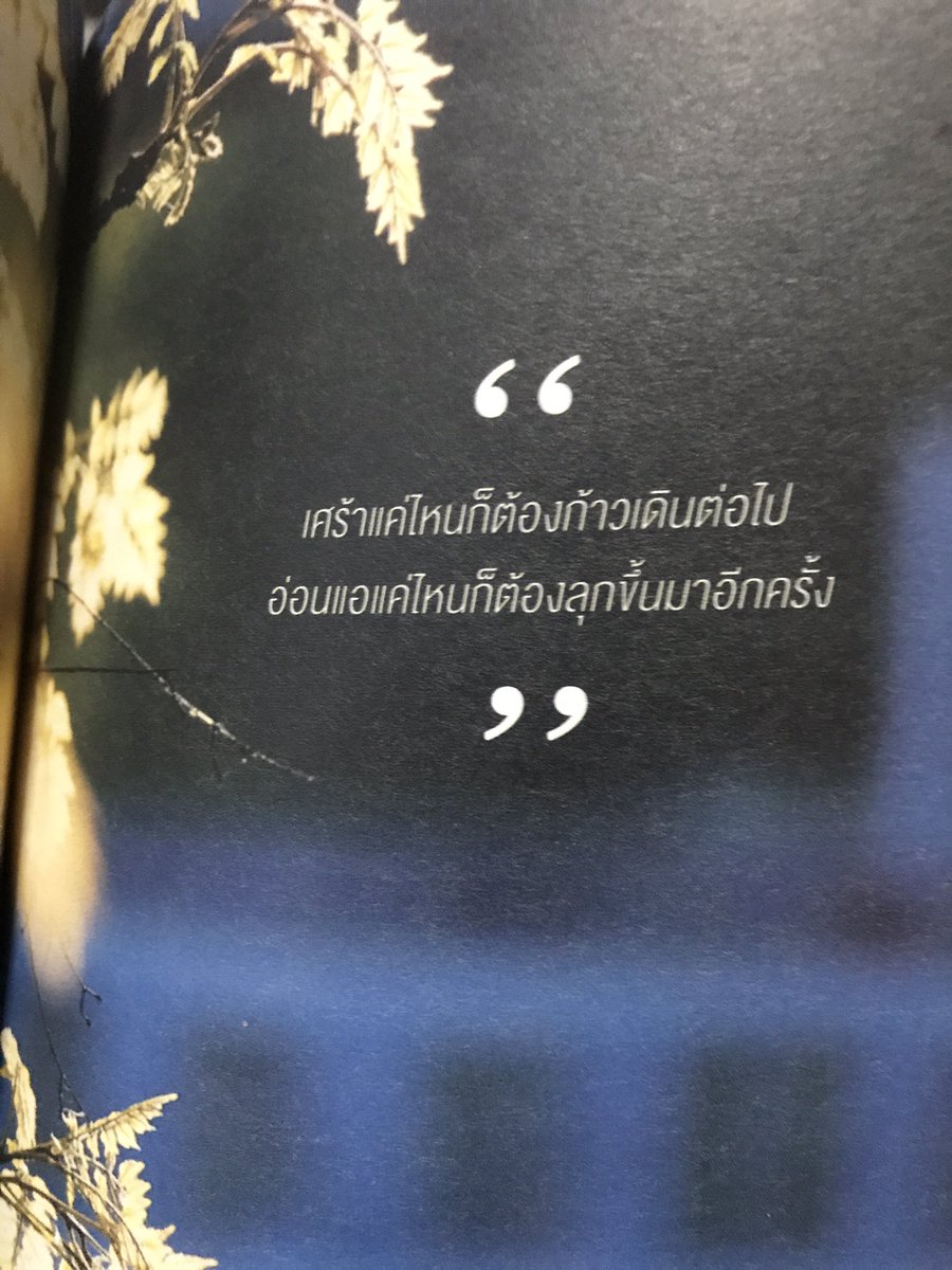 Arreeya_23432's tweet image. ต้องก้าวเดินต่อไป ต้องลุกขึ้นมาได้แล้ว ~ 
#จุดหมายอยู่ในทุกๆก้าว