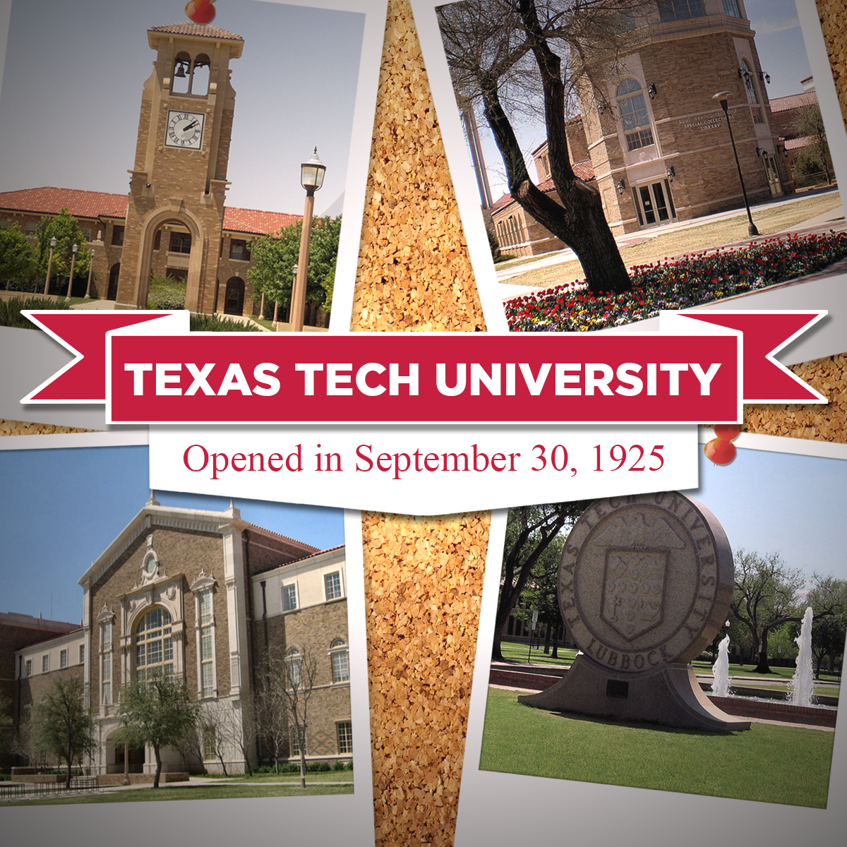 Governor Hot Wheels tweet media