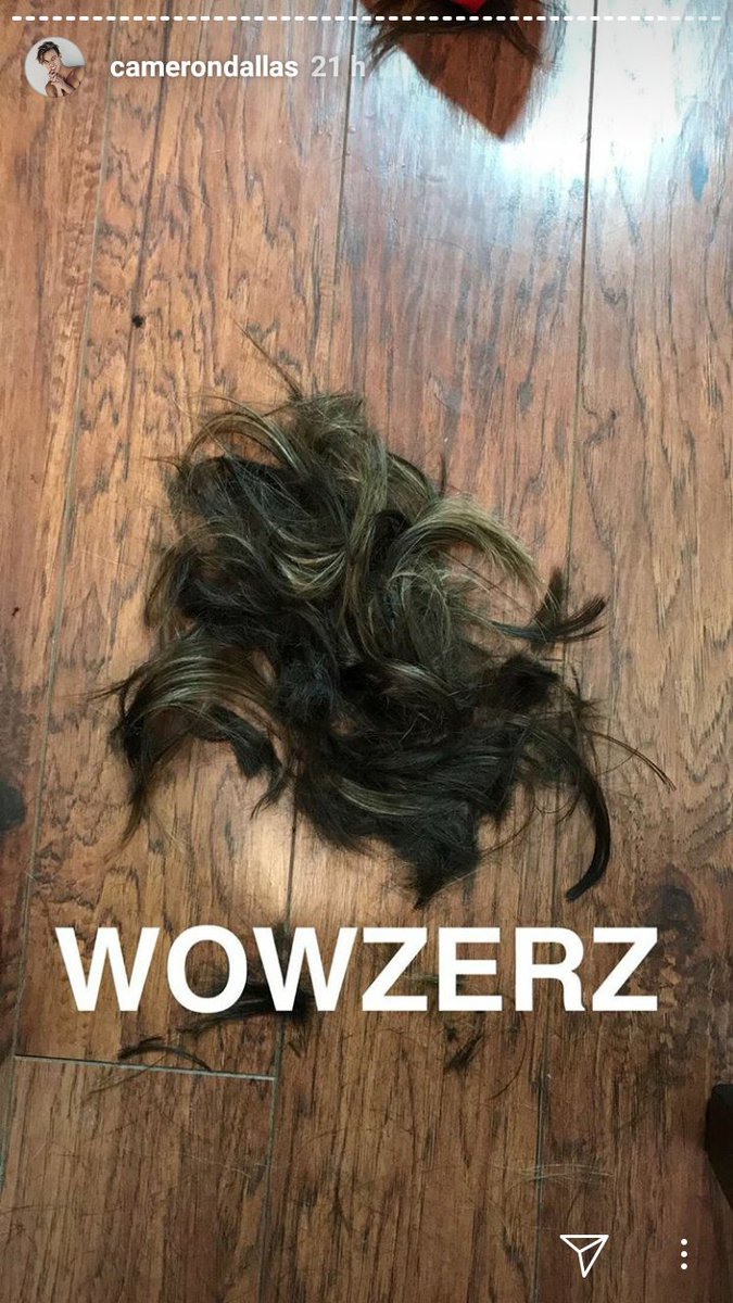 UpdatesDallasSp's tweet image. ¡Cameron ayer se cortó el pelo!